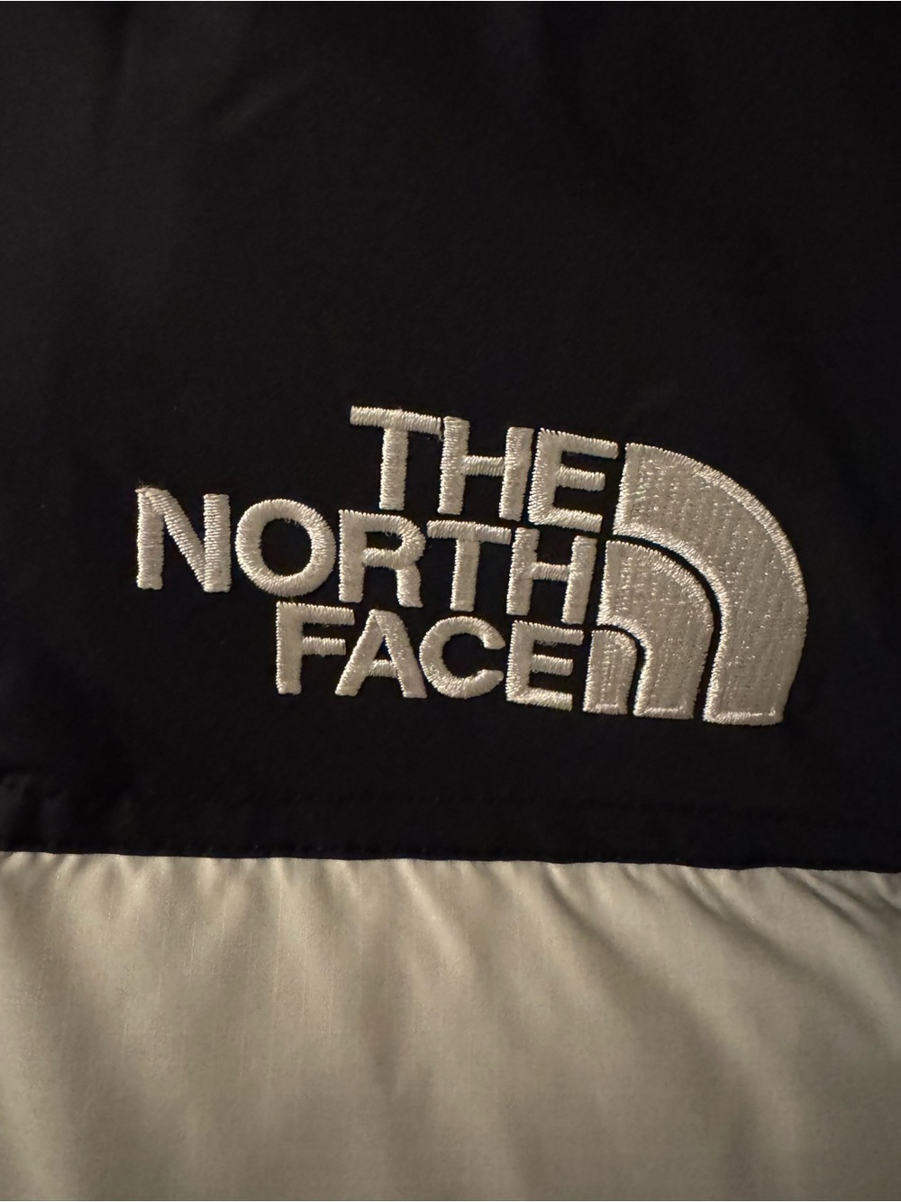 The North Face 1996 Puffer Jacket - Picture 3 of 4
